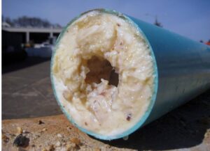 Sewer pipe clogged with fats, oils, and grease.